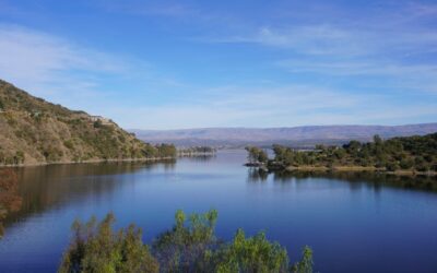 Radiofrecuencia Facial en Córdoba: El Tratamiento que Enciende tu Piel
